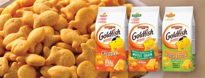 How many goldfish are in a box?
