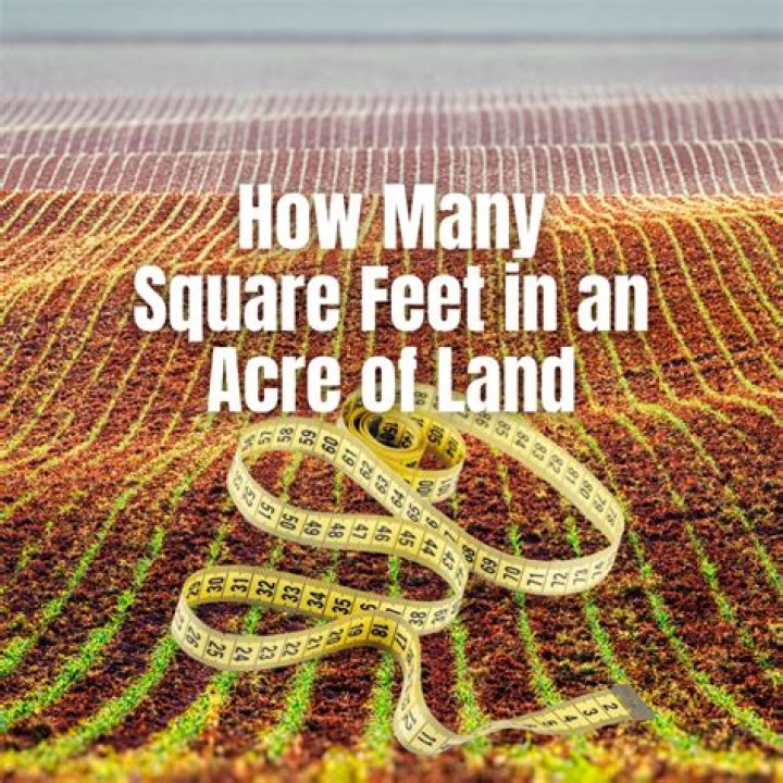 How many square feet is the average American home?