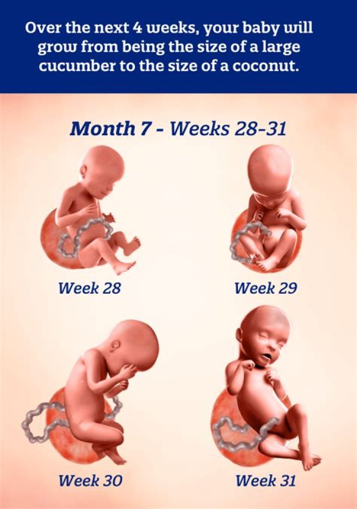 How many weeks is 7 and half months pregnant?