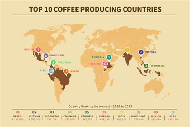 How much coffee does Tanzania export?