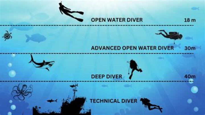 How much do rescue divers make