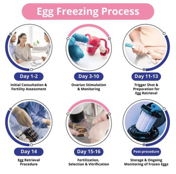How much does it cost to freeze eggs in SC?