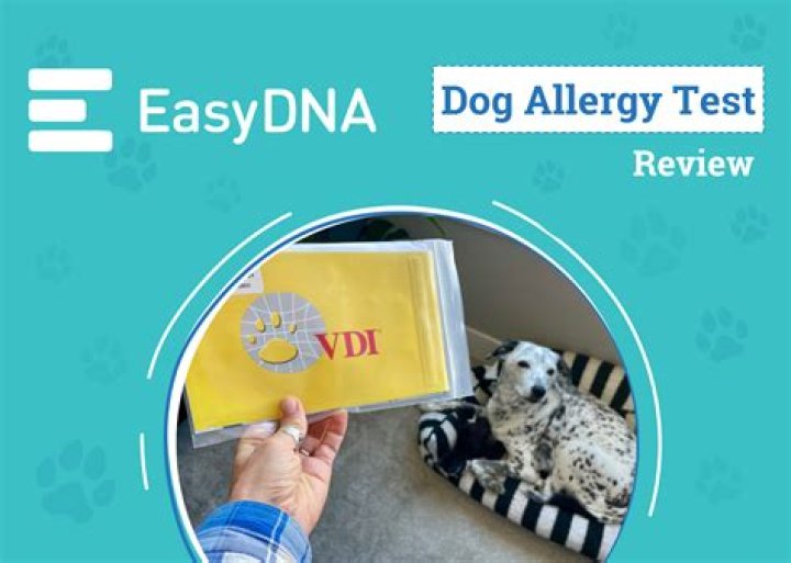 How much does it cost to get a dog an allergy test?