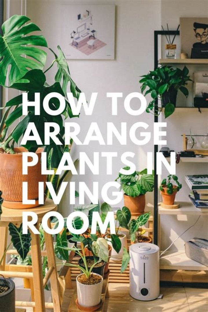 How should I arrange my living room plants