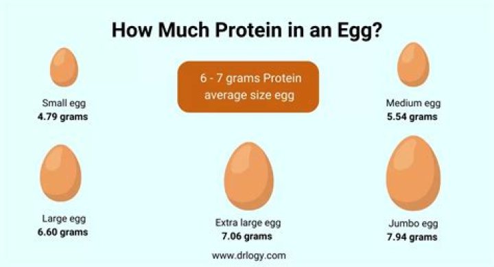Is 1 egg a day enough protein?