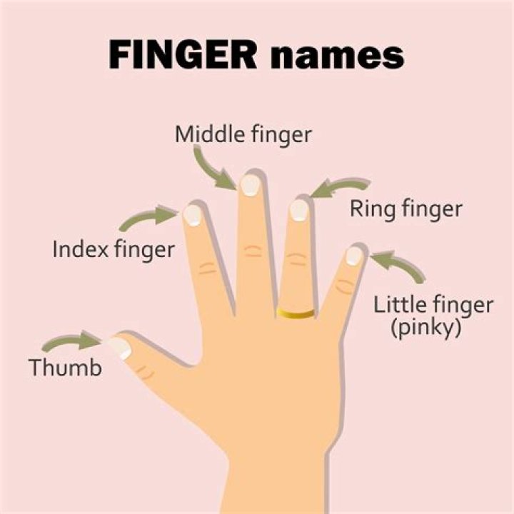 Is a pinky and a thumb a finger