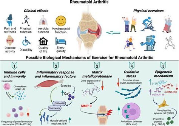 Is Ana elevated in rheumatoid arthritis?