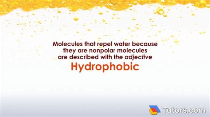 Is hydrophobia greek or Latin?