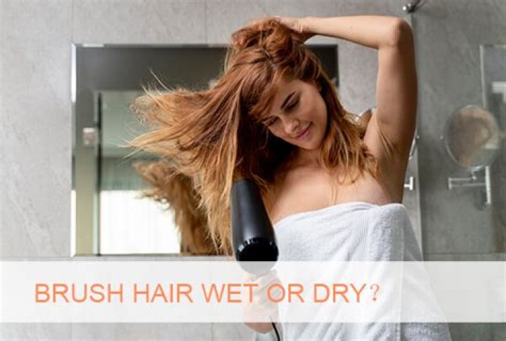 Is it better to brush your hair wet or dry?