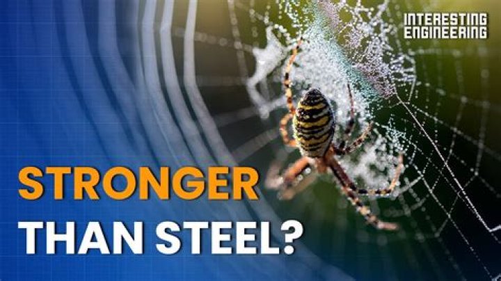 Is LVL stronger than steel