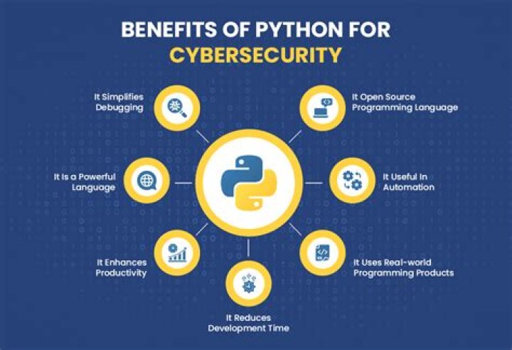Is Python used in cyber security?