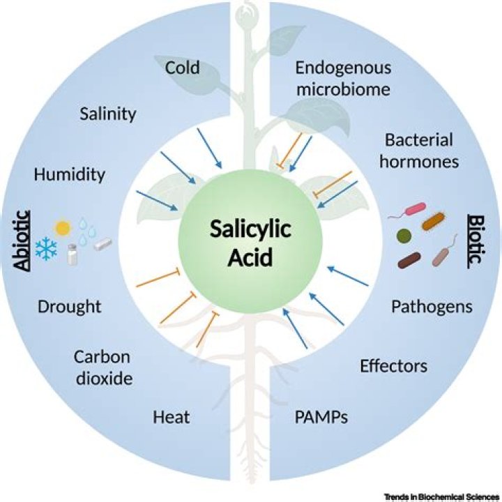 Is salicylic acid a Comedolytic?