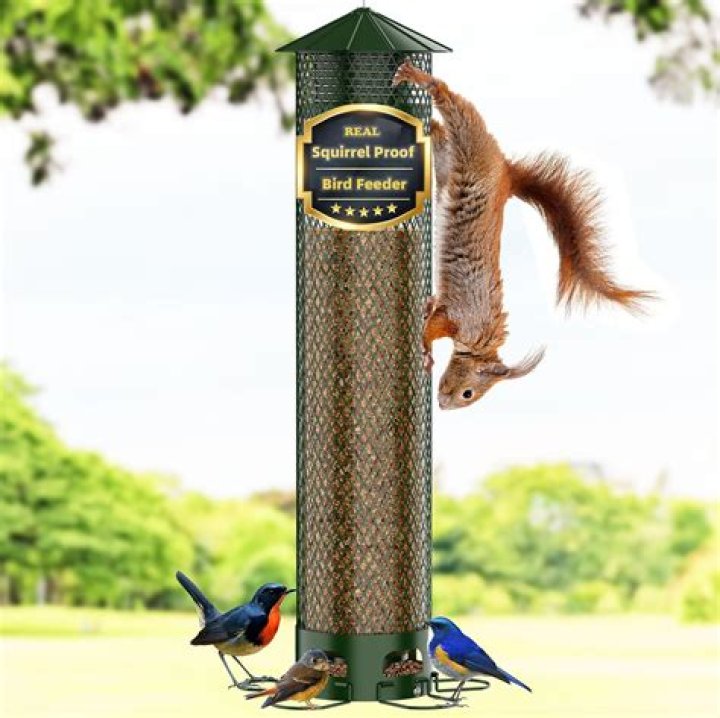 Is Squirrel Stopper safe for birds?