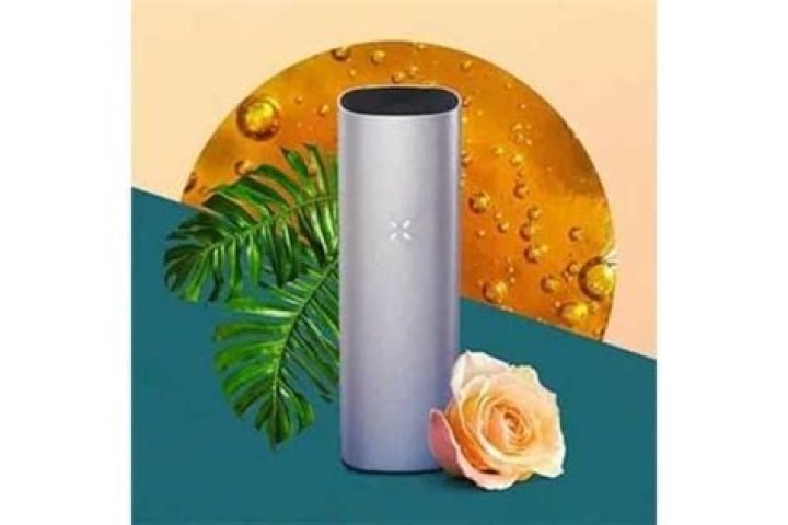 Is the PAX 3 worth it?