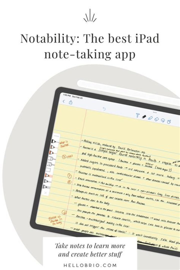 Is there a free app like notability?