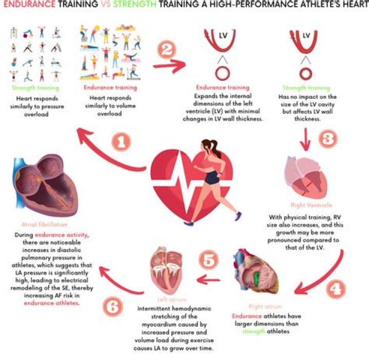 Is there a relationship between heart rate and blood pressure?