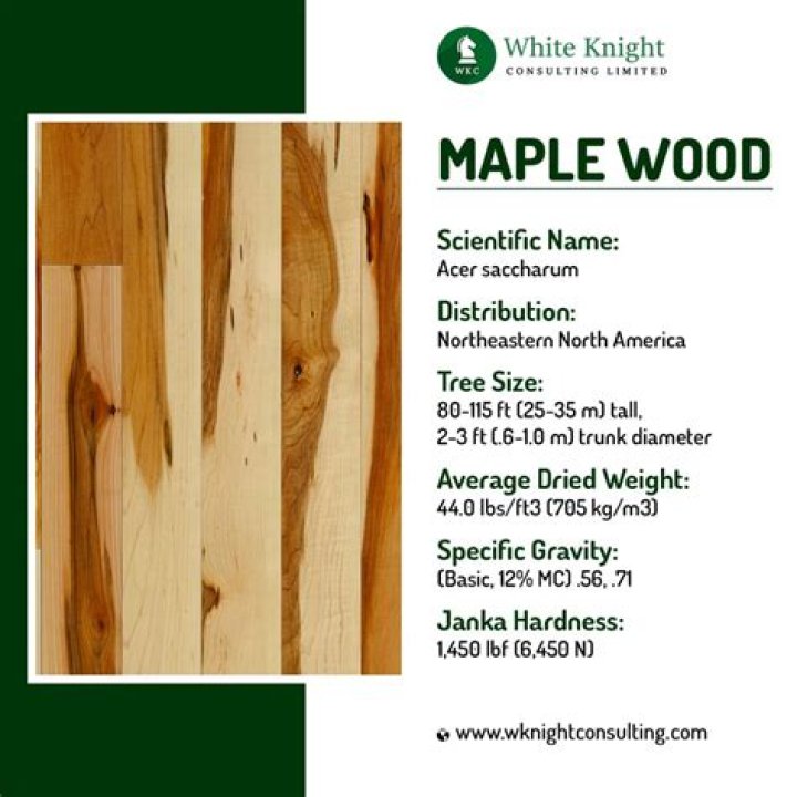 Is white maple hard or soft?