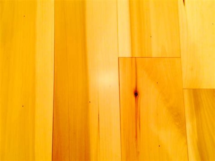 Is yellow poplar a hardwood