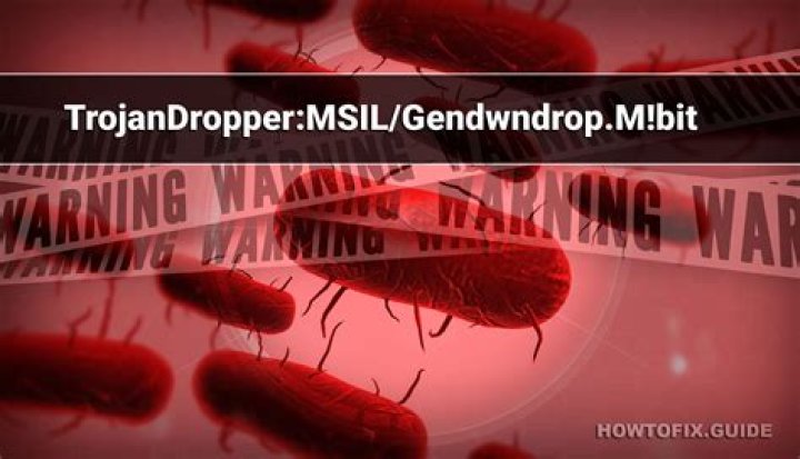 MSIL/TrojanDropper.Agent.DYK