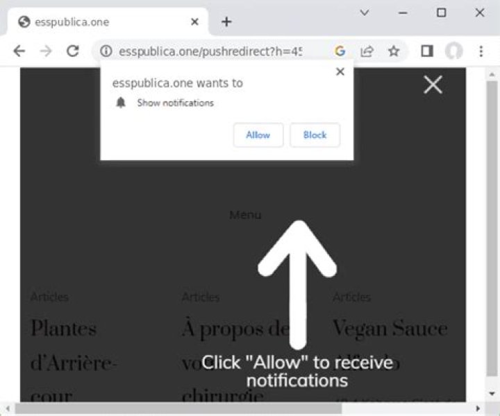 Remove Esspublica.one Virus — How to Fix Guide