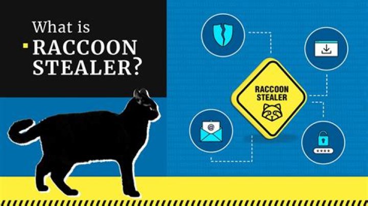 Spyware.RaccoonStealer