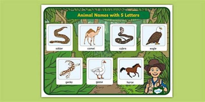 What animal name has 9 letters?