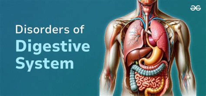 What are 4 digestive system disorders?