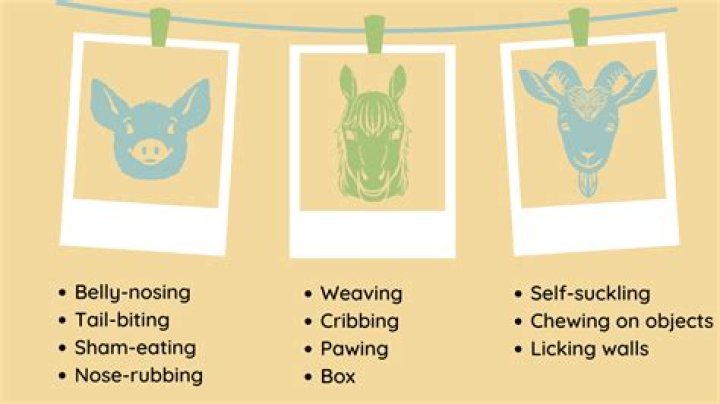 What are abnormal Behaviours?