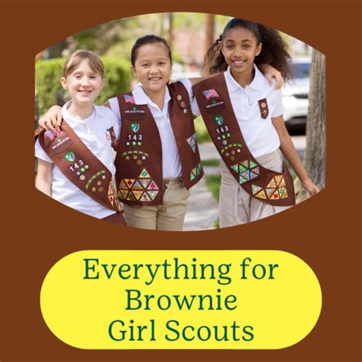 What are brownie guides called in France?