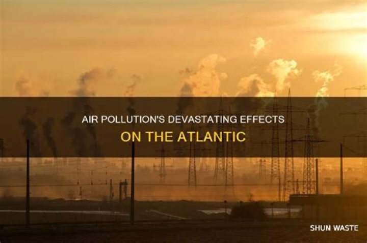What are effects of air pollution