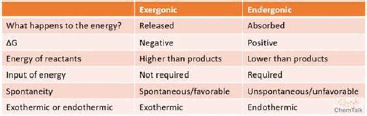 What are examples of endergonic and exergonic reactions