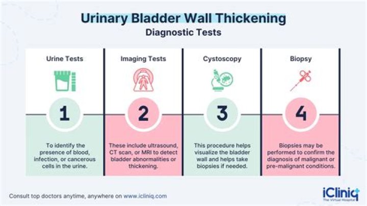What are some bladder diseases