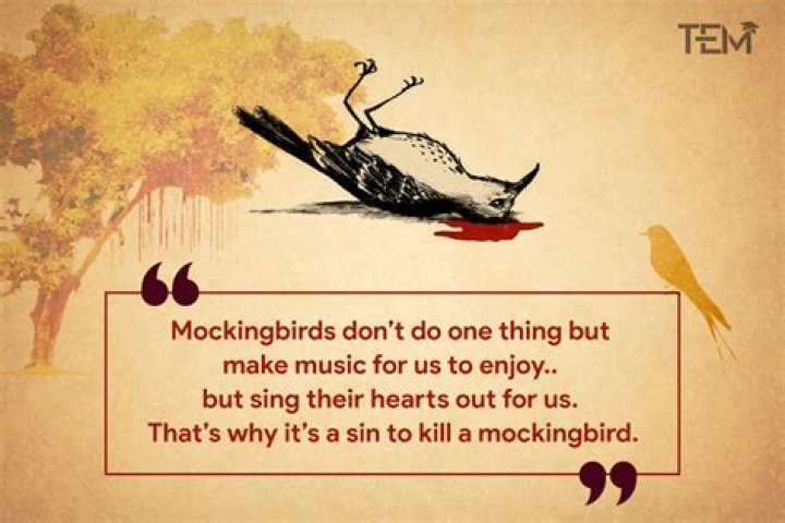 What are some important quotes from To Kill a Mockingbird