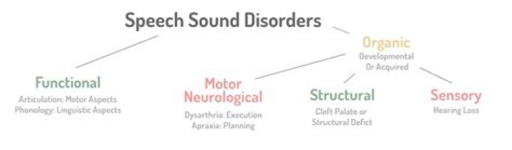 What are the 4 types of articulation disorders?