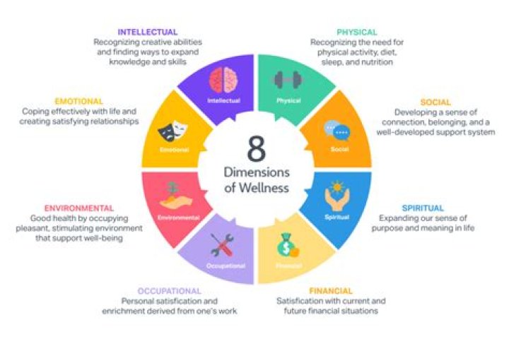 What are the 8 practice dimensions of addiction counseling?