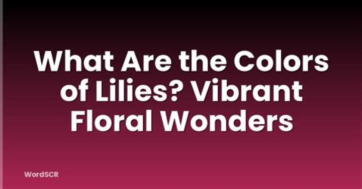 What are the colors of lilies