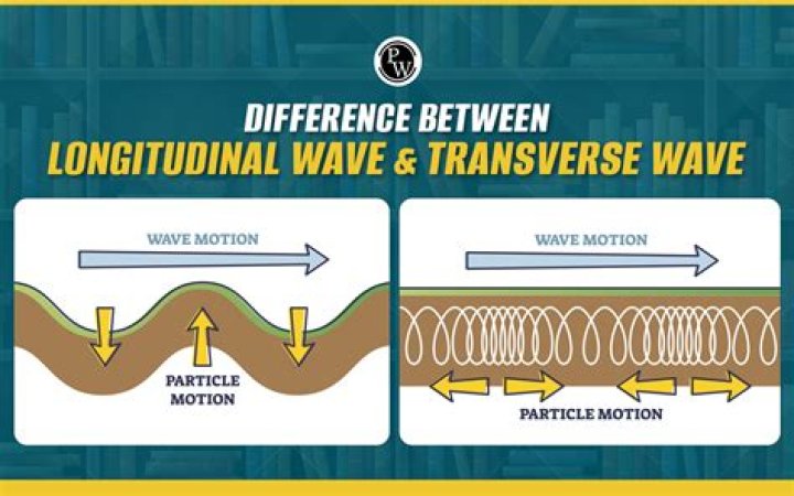What are the differences between longitudinal and transverse waves