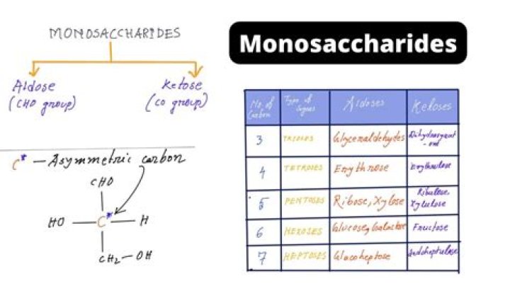 What are the important monosaccharides?