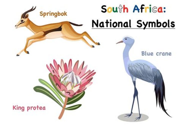 What are the national symbols of Namibia?