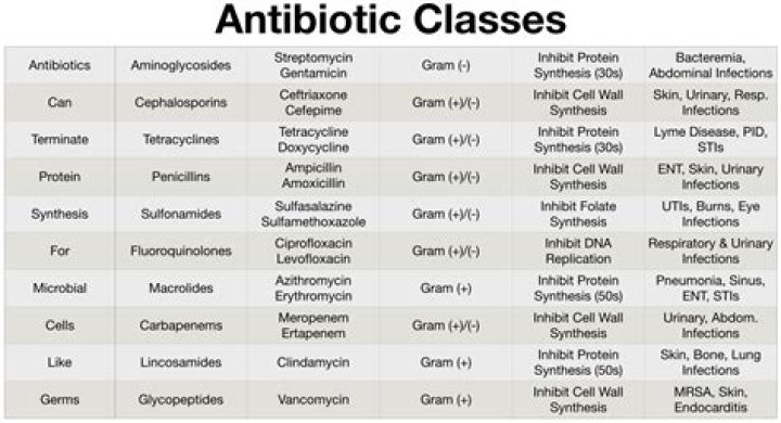 What are the new classes of antibiotics?
