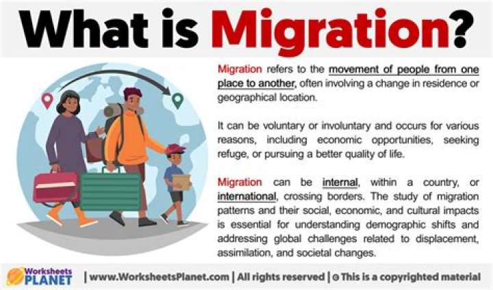 What are the three categories of migration quizlet?