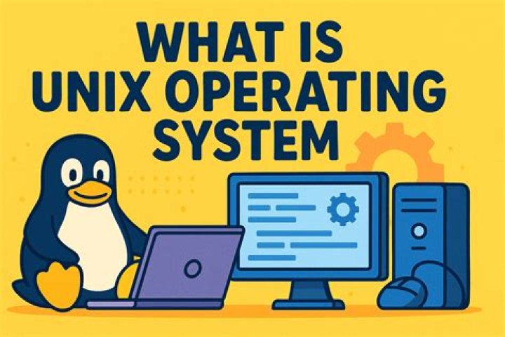 What are the Unix system calls for I O?