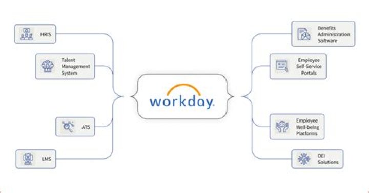 What are Workday services?