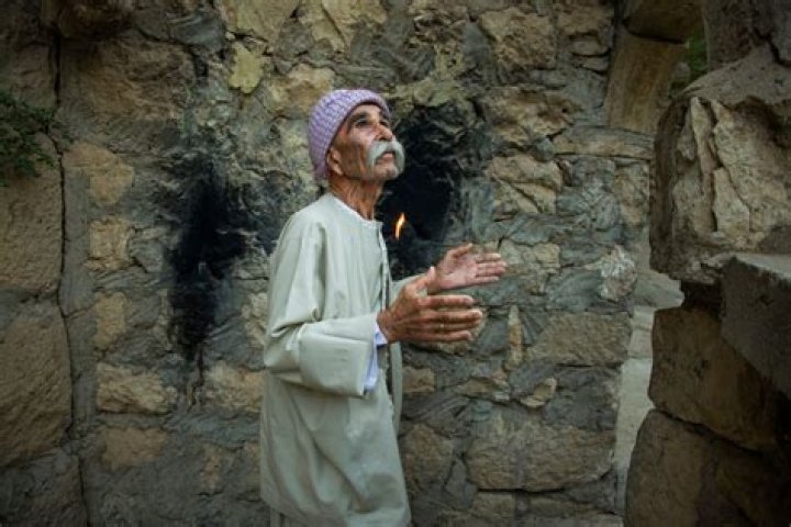 What DNA do Algerians have?