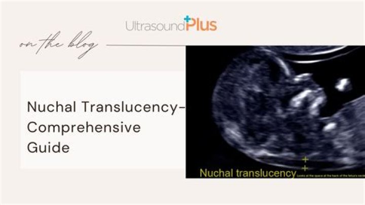 What does a normal nuchal translucency look like?