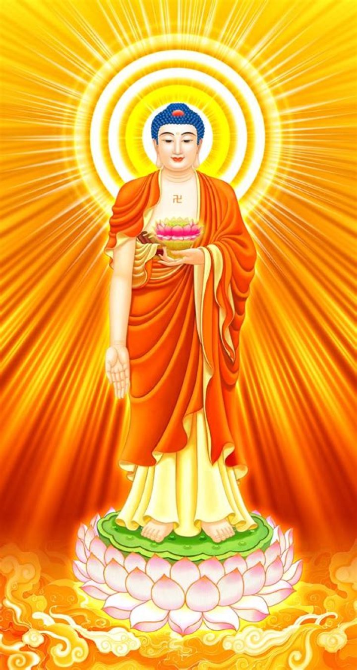 What does adidaphat mean?