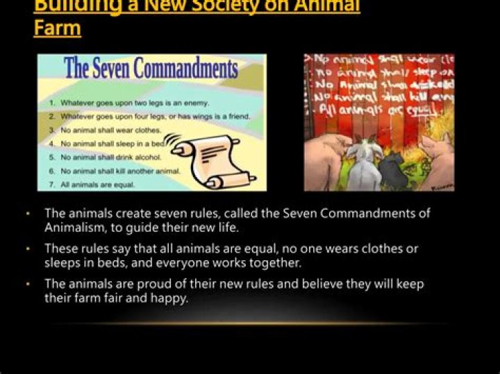 What does animalism in Animal Farm represent