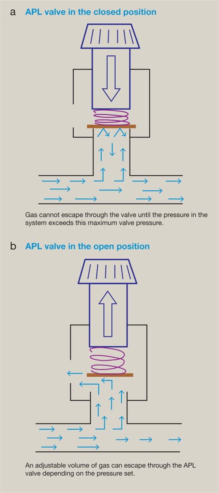 What does APL valve stand for