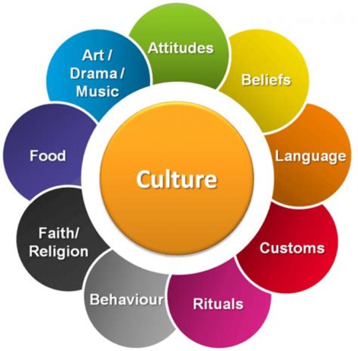 What does culture fair mean