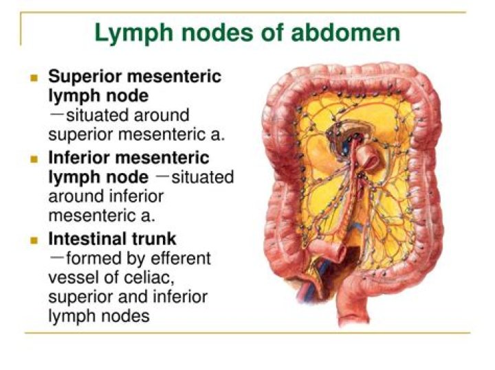 What does enlarged lymph nodes in the abdomen mean?
